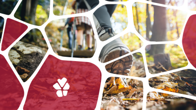 La seconda guerra mondiale lungo il Samoggia: il bombardamento di Ponzano