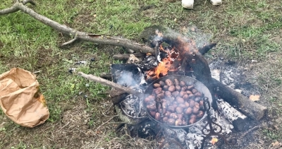 San Martino Trek: da Bologna a Casalecchio di Reno