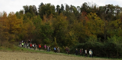 Colli diVini - Camminata a 6 zampe